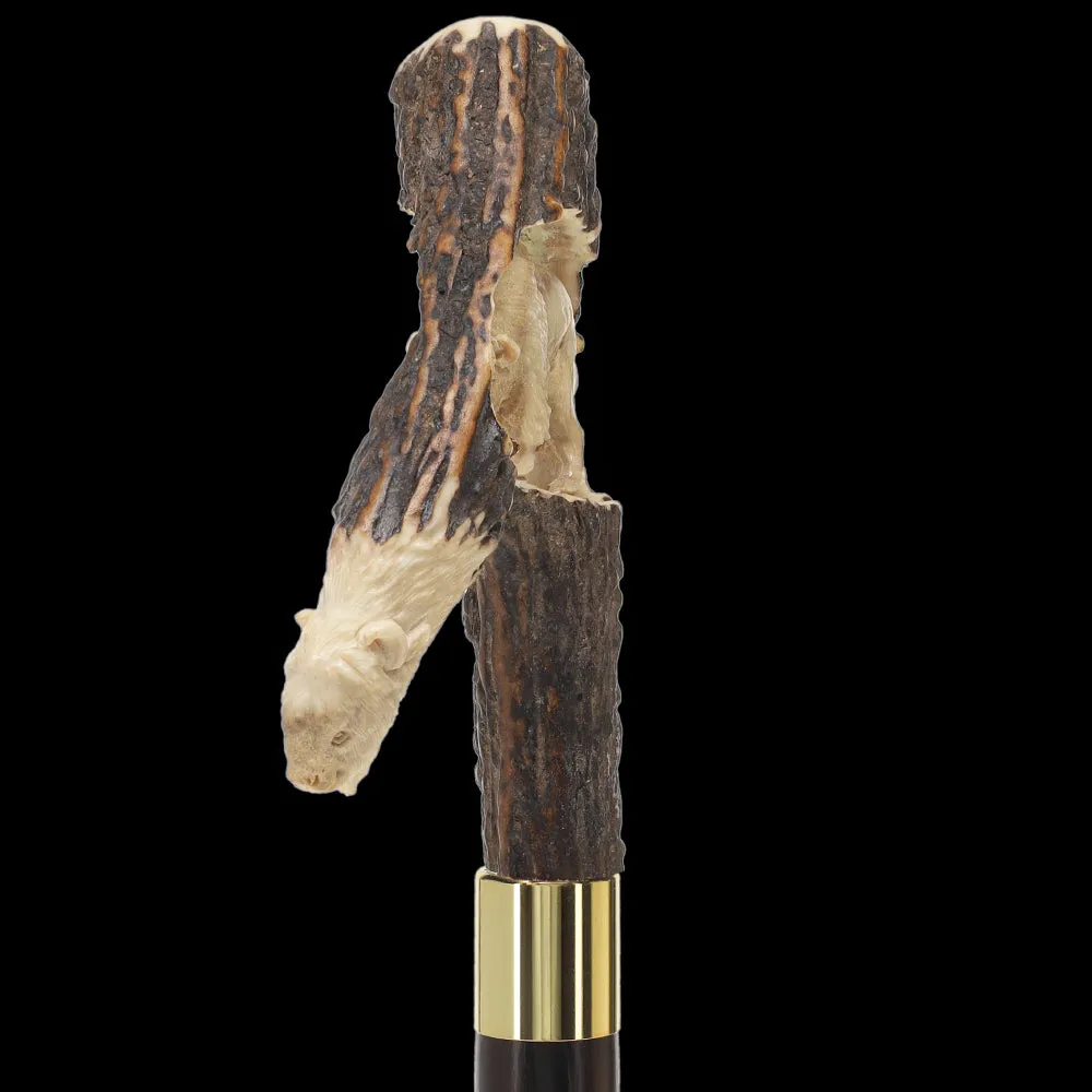 Bison Antler Buffalo Bone Handle Collector Cane w/Custom Shaft and Collar